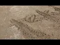 Evrencan Gündüz - Kadının Teki