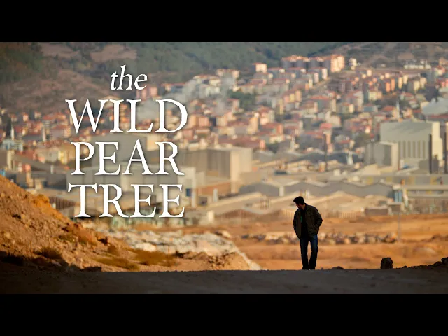 The Wild Pear Tree (official trailer)