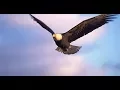 Download Lagu MUSIC THAT CAPTURES the SPIRIT,music Sergey Grischuk HEAVEN AND EARTH