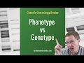 Genotype vs Phenotype What s the Difference Genetic Genealogy Explained