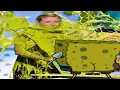 Download Lagu YOU LAUGH YOU NUT | DANK MEMES