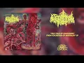 CEREBRAL ROT - Vile Yolk of Contagion (From 'Excretion Of Mortality' LP, 2021)