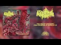 Download Lagu CEREBRAL ROT - Vile Yolk of Contagion (From 'Excretion Of Mortality' LP, 2021)