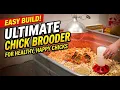 How to Set Up a Baby Chick Brooder A Step-by-Step Guide for Beginners