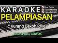 Download Lagu PELAMPIASAN Karaoke Nada Cowok / Pria , Kurang Bakoh Pie