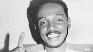 محمود عبد العزيز خلي بالك 