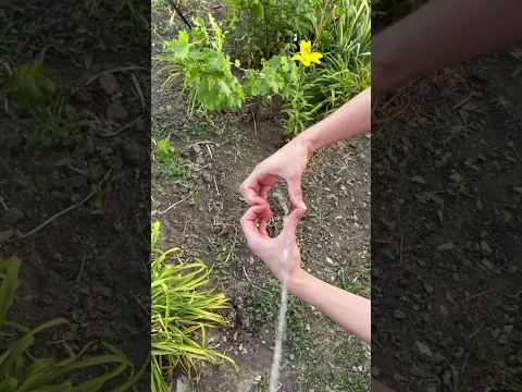 А говорят любви не существует 😂