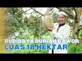 Download Lagu CERITA HAJI LIS MERANTAU DAN JADI PEMBANTU, KINI SUKSES BERTANI DURIAN BAWOR DENGAN RIBUAN POHON