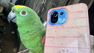 Loros que hablan 🦜😳