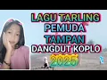 Download Lagu LAGU TARLING PEMUDA TAMPAN DANGDUT KOPLO