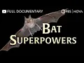 Download Lagu Bat Superpowers | Full Documentary | NOVA | PBS