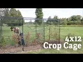 A Closer Look at the 4 x 12 Crop Cage Gardener s Supply