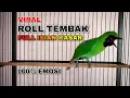 Download Lagu MASTERAN VIRAL !! CUCAK IJO ROLL TEMBAK FULL ISIAN KASAR