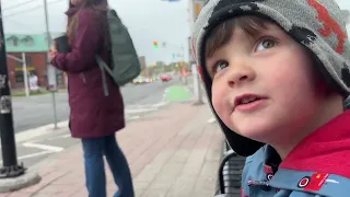 Asking my three year-old son what guide dogs do ￼