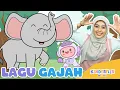 Download Lagu Gajah - Lagu Anak dan Balita Indonesia | Original Song - Kinderflix Music