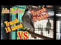 Download Lagu nggak perlu lama trucukmu pasti PANAS NGAMUK GACOR dengan SUARA pancingan TRUCUK ini