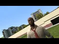 stupid horse