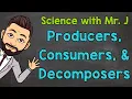 Producers Consumers and Decomposers Ecosystems