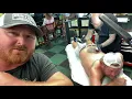 Dolly Parton Tattoo Tribute