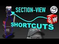 Quick Edit your SECTION VIEWS