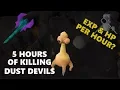 OSRS Loot From Ranging Dust Devils for 5 Hours - Exp Profit PH