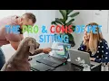 Pet sitting The pros and the cons of this side hustle