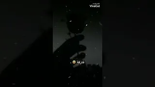 حدا انا غلطان مشارك بلي صارررر 