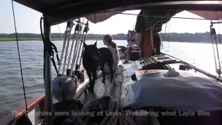 Episode 74 – Life on a Sailboat  – Trip to Cumberland Island Day 4