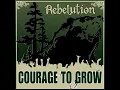 Download Lagu Rebelution - Feeling Alright