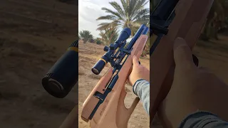 اليوم المكناص غير ليوم راجله وينهم الكوانيص صيد هوائيه      السعوديه لبنان  سوريه فلسطين البر الصيد دندنها