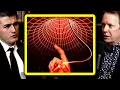 Why Donald Hoffman is wrong Spacetime is not an illusion Sean Carroll and Lex Fridman