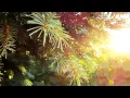 Teebs - While You Doooo