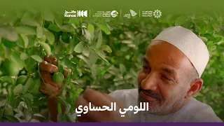 من هالأرض اللومي 