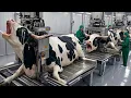Inside the White Bull Horn Leather Factory How Luxury Bags and Phone Cases Are Made