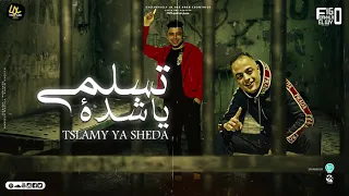 ايفا الايراني اسلام كابونجا العين بتكره لحسن منها توزيع فيجو الدخلاوي 2025  ايفا الايراني اسلام كابونجا العين بتكره لحسن منها توزيع فيجو الدخلاوي 2025