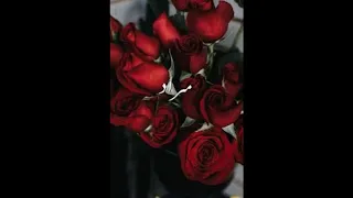 اسم مراد  حالات واتس اب  حسب الطلب دندنها