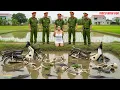 Download Lagu Tiền Giang: Góa Phụ Khát T.ình, Sát Hại 5 Shiper Phi Tang Xuống Ao Cá Tra
