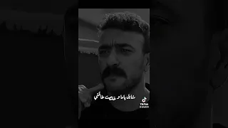 مين في الدنيا دي شايل شيلتي 