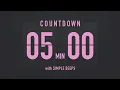 5 Minute Countdown Timer Flip Clock with Simple Beeps