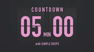 5 Minute Countdown Timer Flip Clock With Simple Beeps 