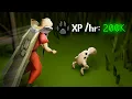 Download Lagu WAIT… Hunter Rumours Are BROKEN? [Maxing EP 43]