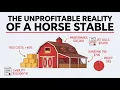 The Economics of Owning a Horse Stable