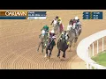 Oaklawn Park February 28 2026 The 66th Running of RAZORBACK HANDICAP
