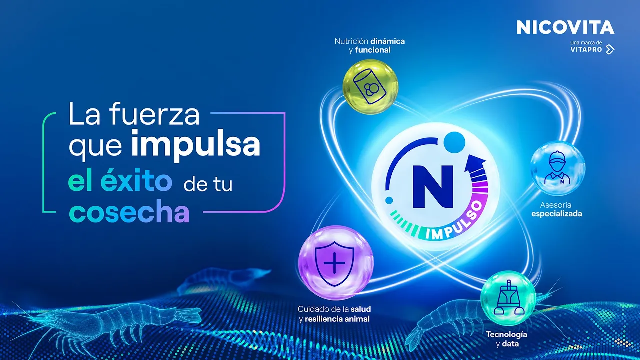 Video Impulso N (thumbnail)