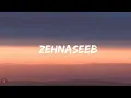 Download Lagu Hasse toh phasee - Zehnaseeb(Lyrics video)