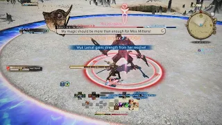 Taking A Stand - FINAL FANTASY XIV Online Dawntrail