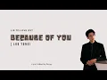 Download Lagu [ mand/eng sub ] Luo Yun Xi - Because Of You | Lie To Love Closing Theme Song