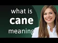 Cane what is CANE meaning