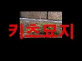 조광일(Gwangil Jo) - 키츠묘지