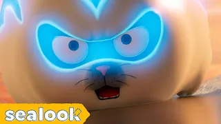 The Legendary Racer All Of Soda Seal 088ㅣSEALOOK Compilation 